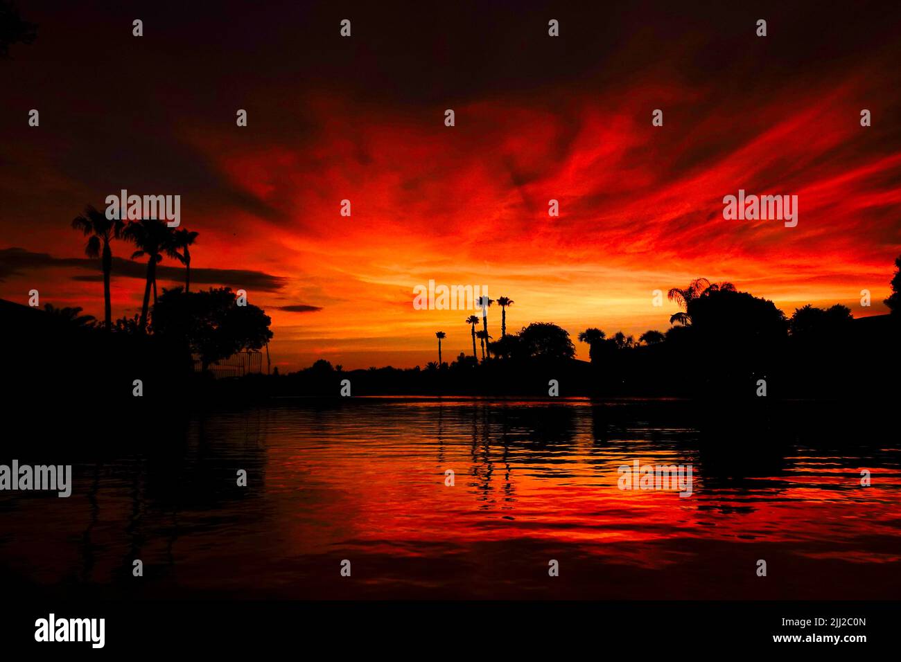 Eine Silhouette von Palmen, die sich bei Sonnenuntergang über dem Wasser spiegeln. Stockfoto