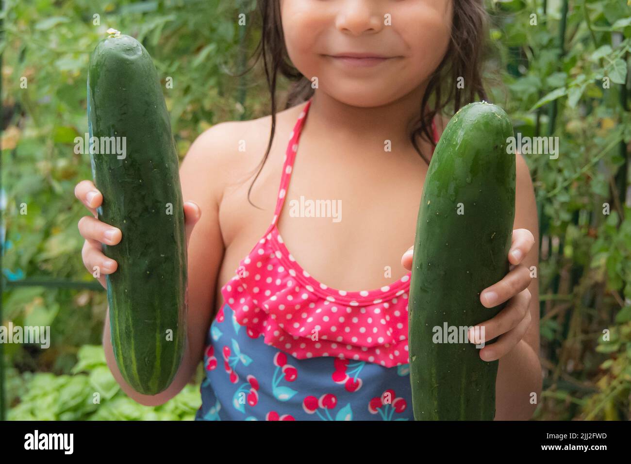 Kind mit Bio-Garten produzieren Stockfoto