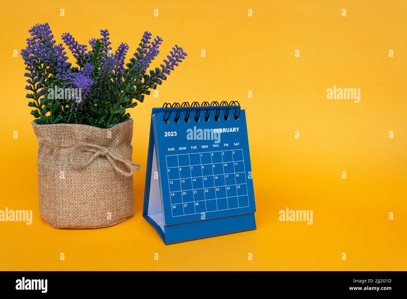 Tischkalender Februar 2023 mit Topfpflanze auf gelbem Hintergrund. Stockfoto