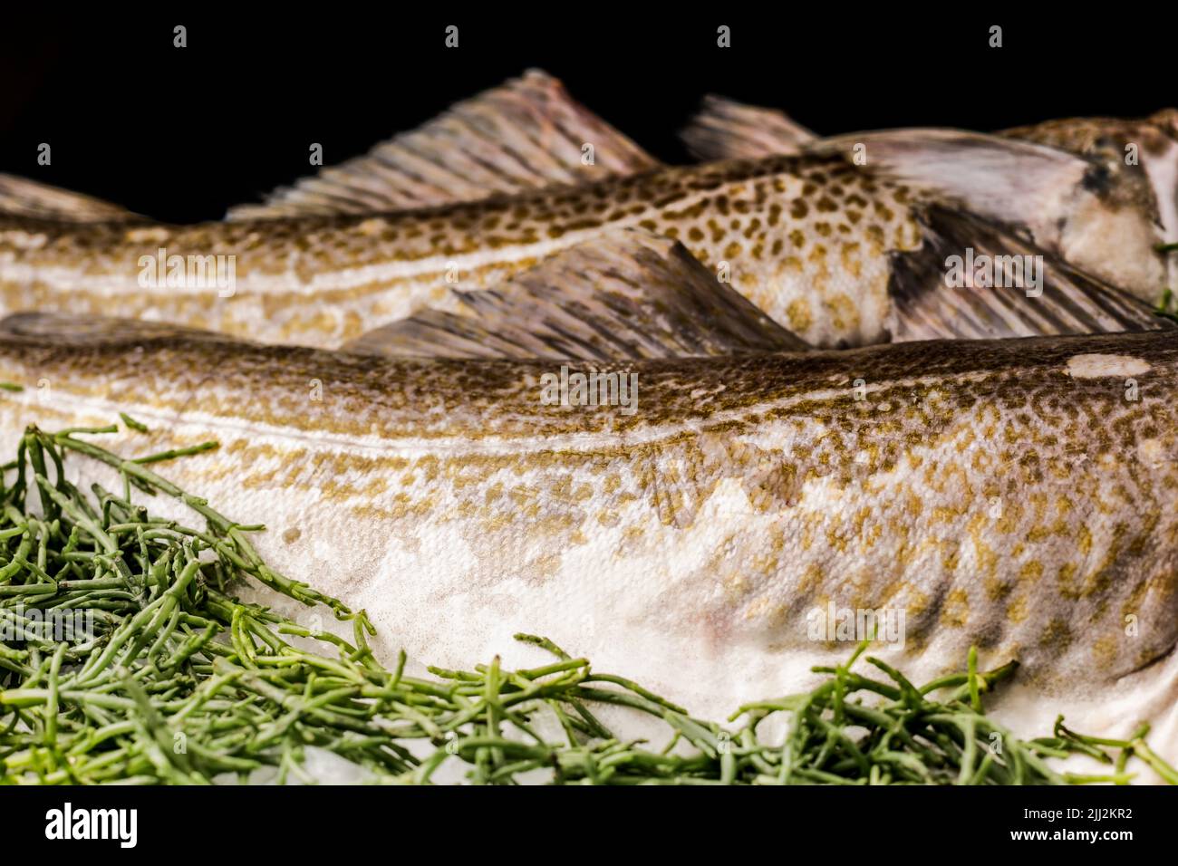 Frischer weißer Fisch, der in der Küche für ein köstliches Gericht zubereitet wird Stockfoto