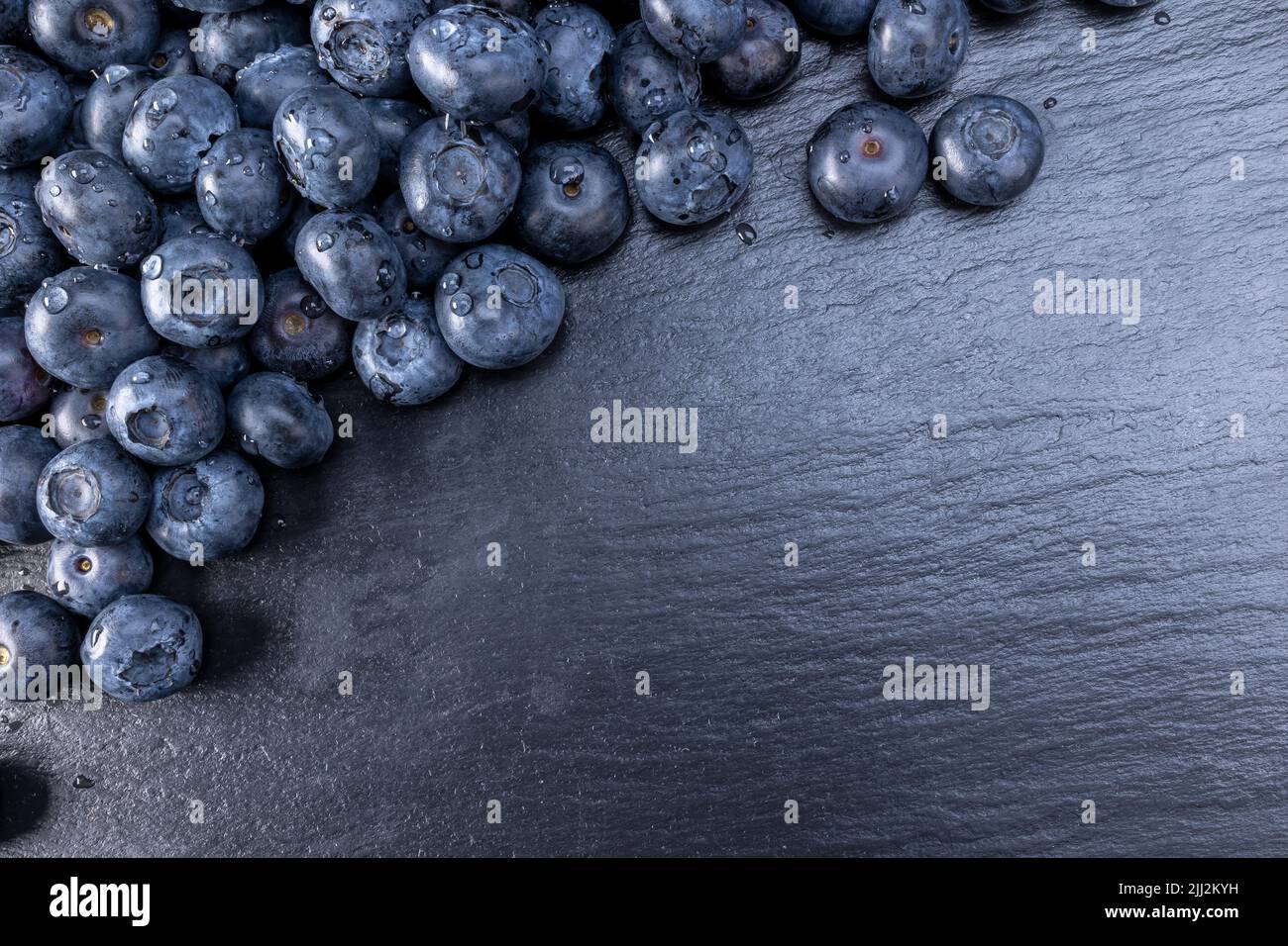 Frische Heidelbeere Sommer saftige Früchte für eine gesunde Ernährung. Bio-Heidelbeeren für ein gesundes Lebensmittel- und Lebenskonzept. Stockfoto