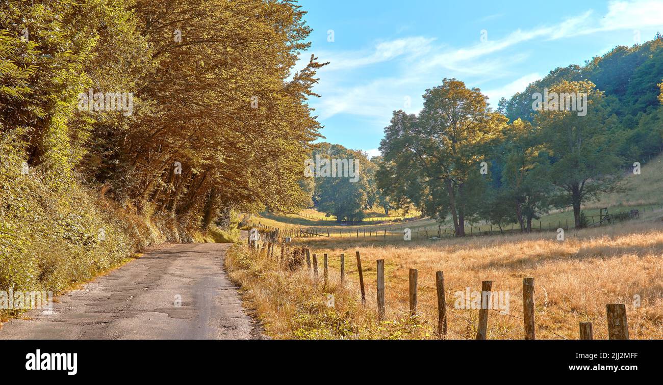 Eine unbefestigte Landstraße, die zu landwirtschaftlichen Feldern oder Weiden in abgelegener Gegend mit ruhigen und lebendigen Bäumen führt. Landschaftsblick auf ruhig, üppig Stockfoto