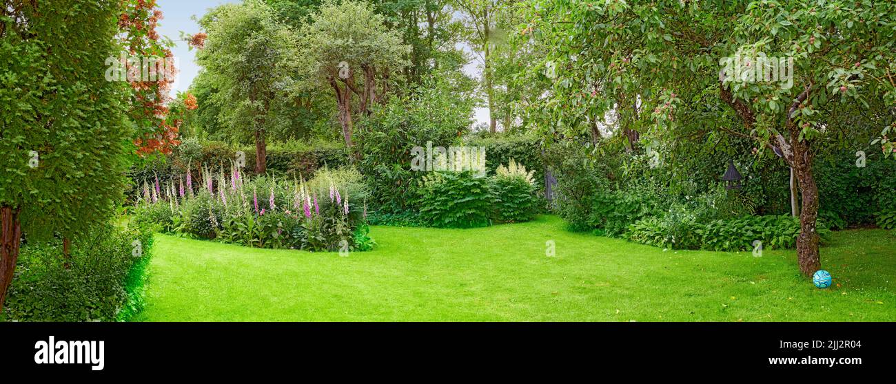 Ein schöner Blick auf die Natur von grünem Gras, Pflanzen, Bäumen und Blumen. Private Outdoor-Park Rasen im Frühjahr mit einem natürlichen Hintergrund. Ein Außen Stockfoto