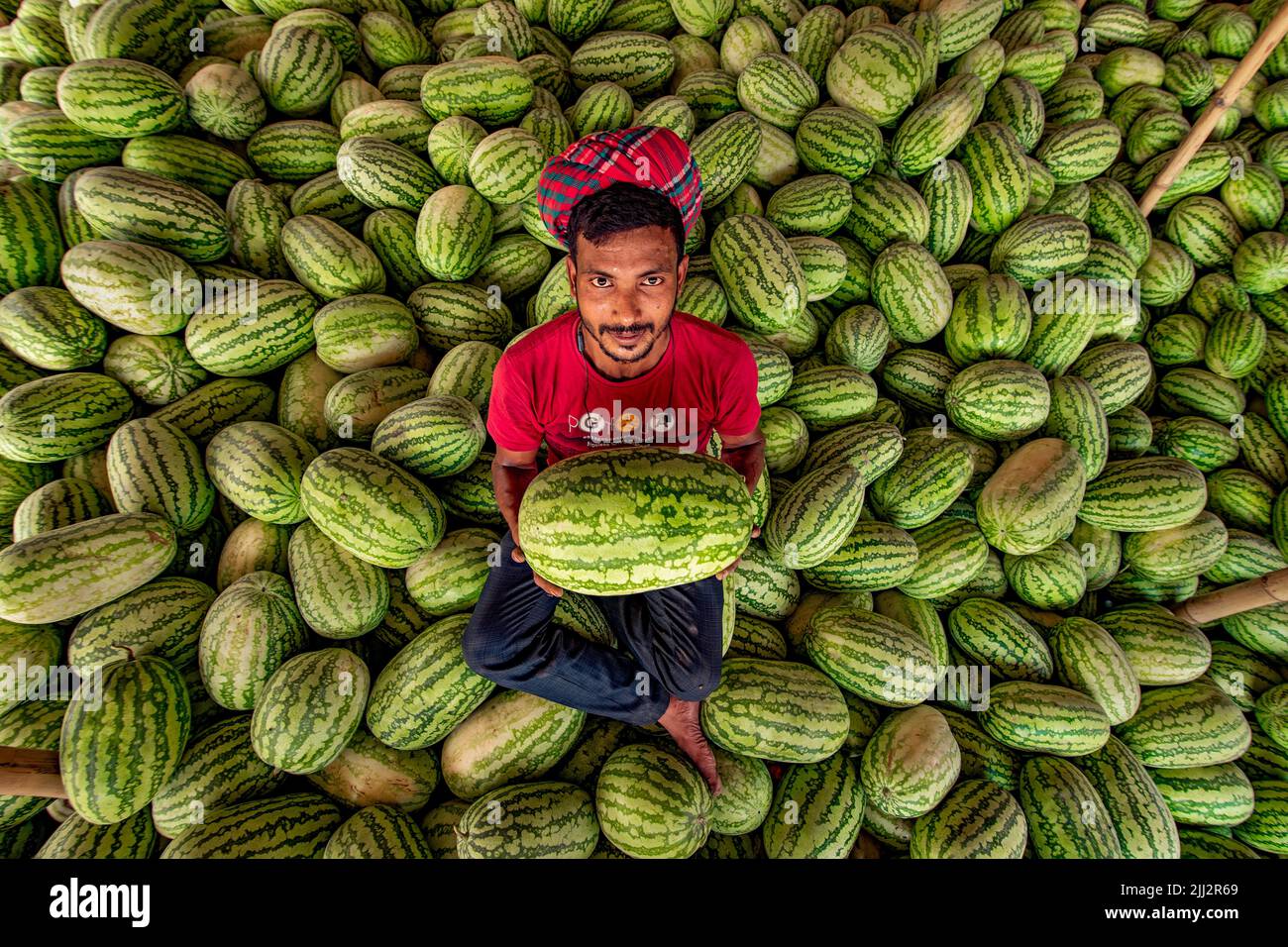 Wassermelonen-Großhandelsmarkt in Bangladesch Stockfoto