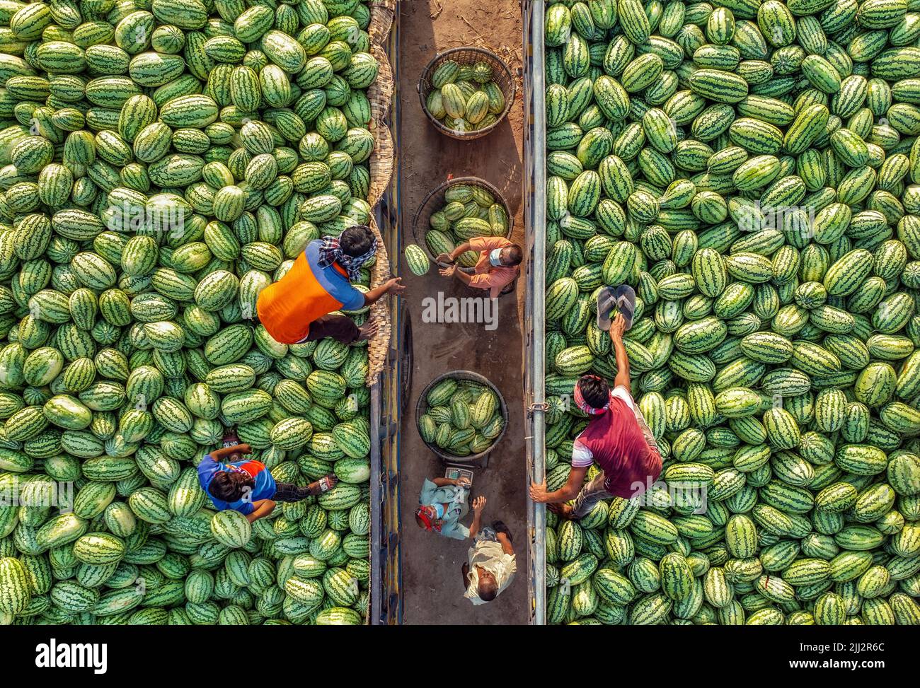 Wassermelonen-Großhandelsmarkt in Bangladesch Stockfoto