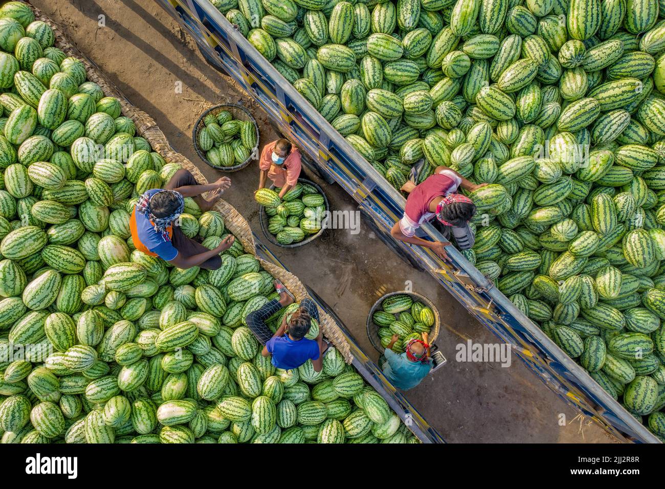Wassermelonen-Großhandelsmarkt in Bangladesch Stockfoto