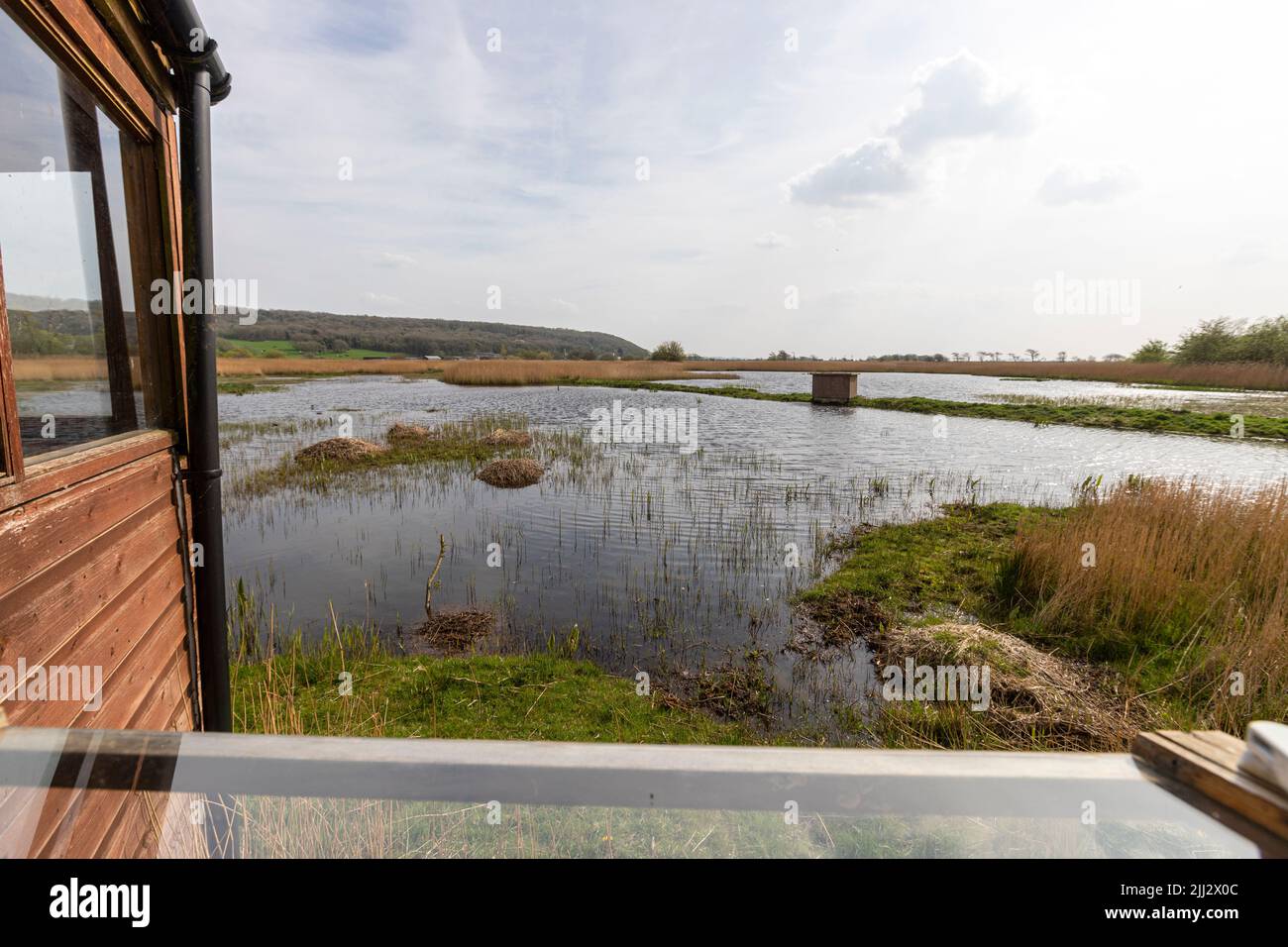 Grisedale Hide, Leighton Moss RSPB Reserve, Lancashire, England, Vereinigtes Königreich Stockfoto