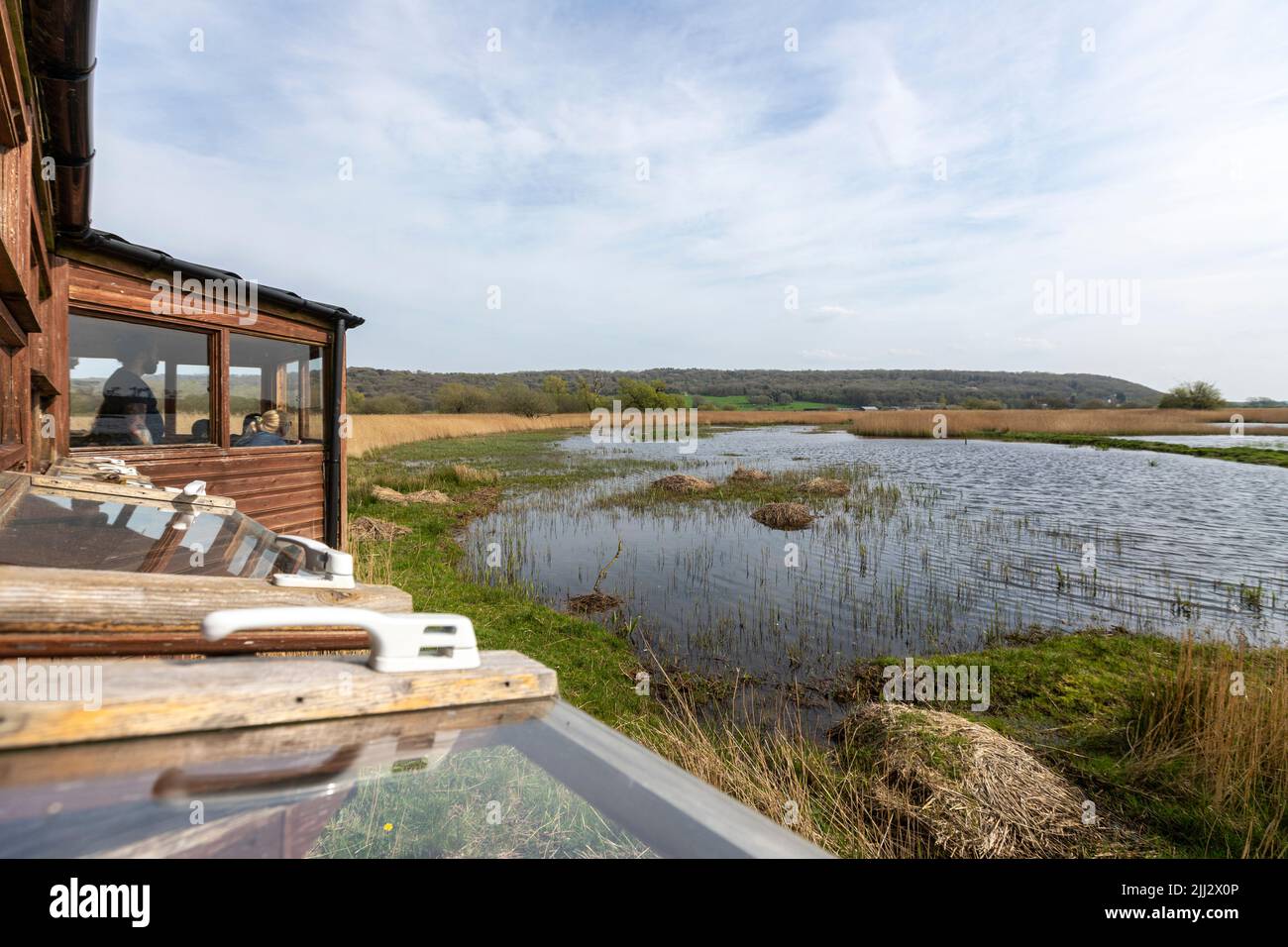 Grisedale Hide, Leighton Moss RSPB Reserve, Lancashire, England, Vereinigtes Königreich Stockfoto