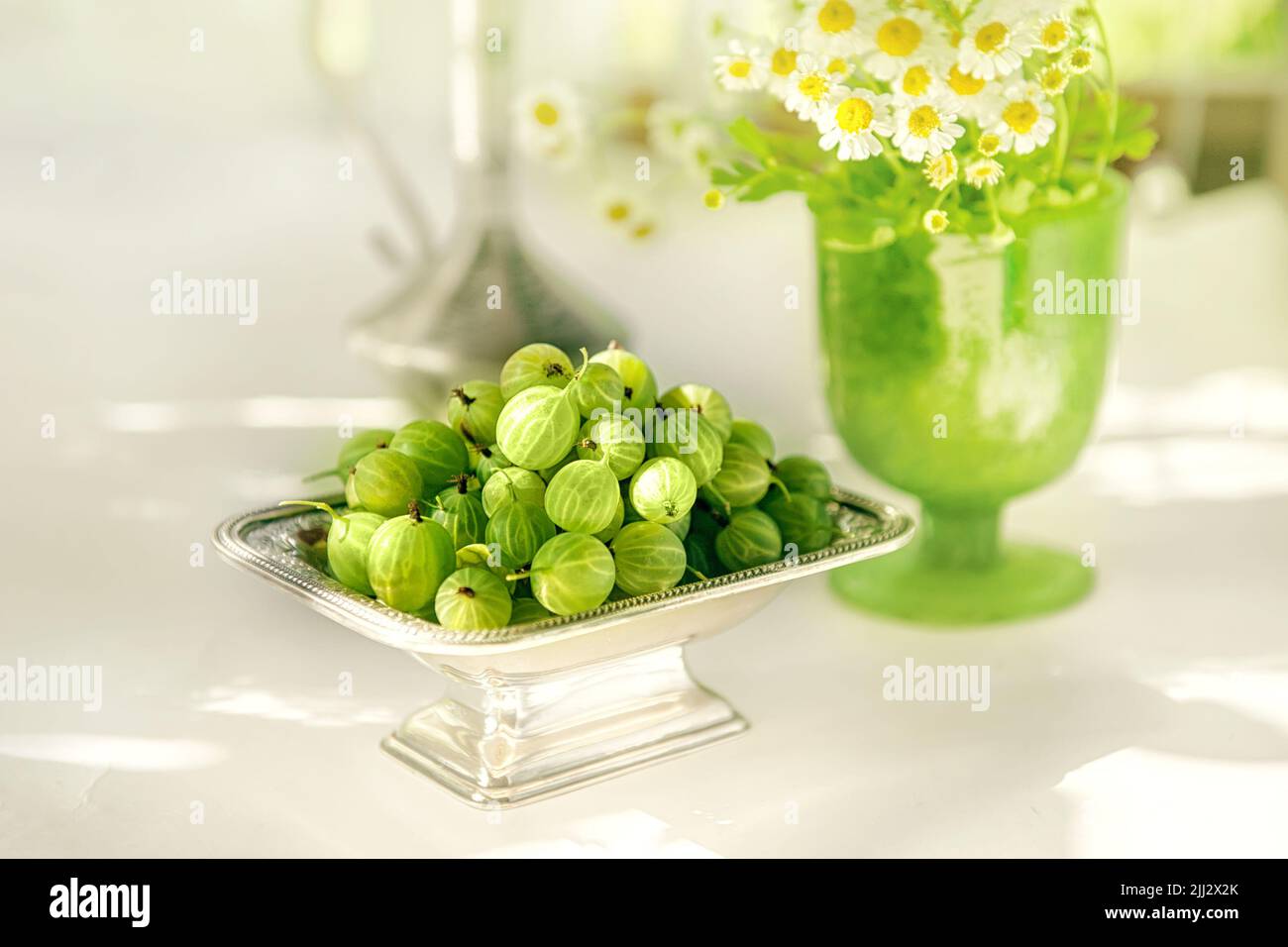 Grüne reife Stachelbeeren in einer antiken silbernen Vase auf dem Tisch. Schönes Stillleben mit Stachelbeeren und antiken Gerichten und einem natürlichen Kontrast Stockfoto