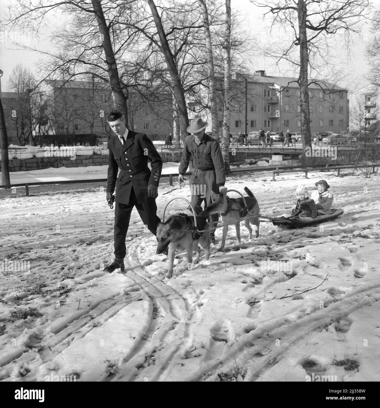Hunklubbens Pulka Sonntag, 14. März 1955 Stockfoto