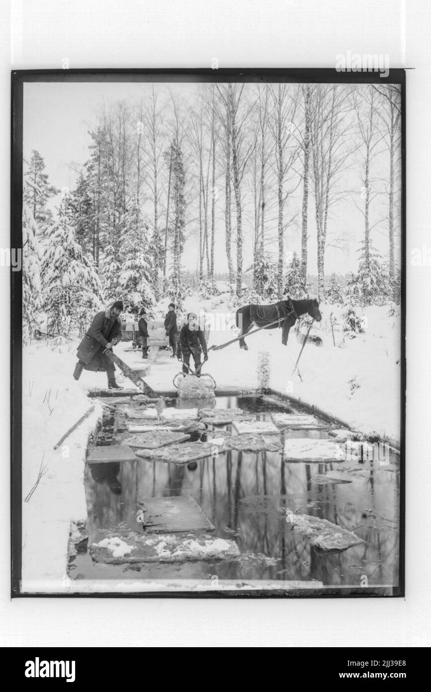 Landwirtschaft, Eisaufnahme, 4 Menschen, ein Pferd. Carlsson Stockfoto