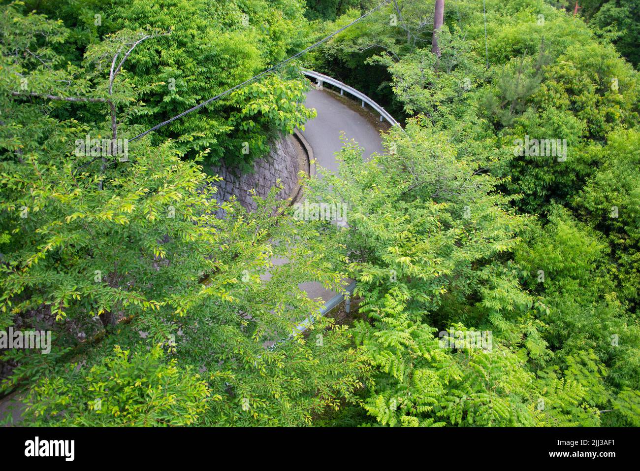 Haarnadelenge Straßenecke - hoher Winkel durch Bäume im Regenwald geschossen. Stockfoto