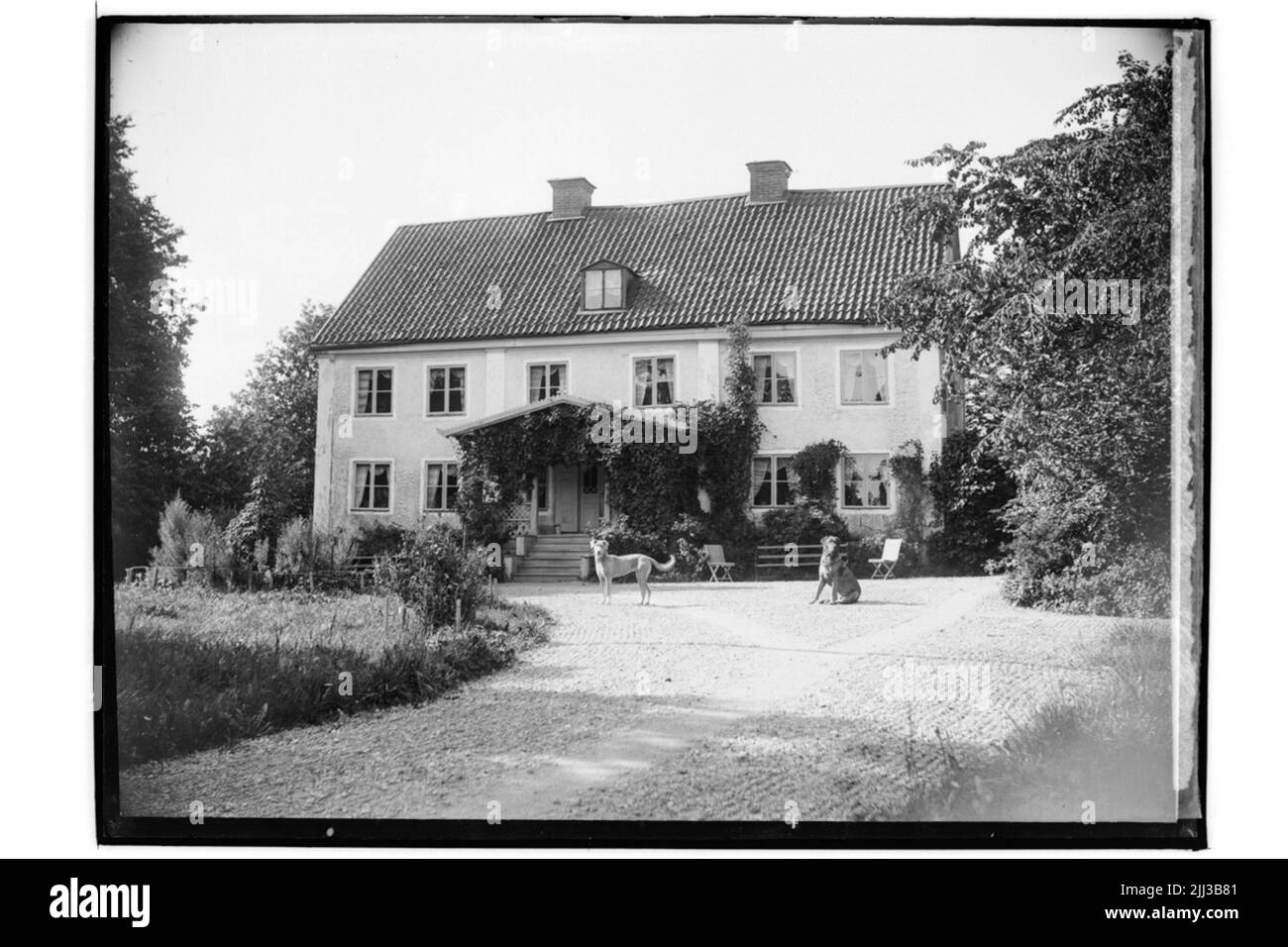 Zweistöckiges Wohnhaus, zwei Hunde.k.v. Carlsson Stockfoto
