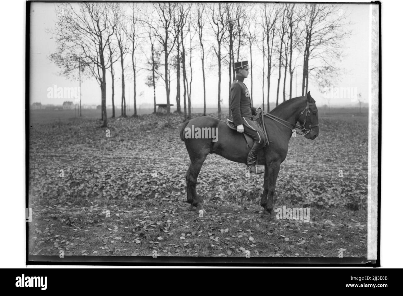 Die Menge, Kungl. Svea Trängkår, T in. Leutnant Froste, Vasagatan 13, zu Pferd in Trängen. Stockfoto
