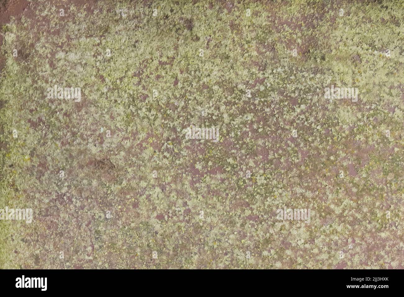 Grünes Moos oder Schimmel auf alten schmutzigen Metalloberfläche Hintergrund Textur Wand. Stockfoto