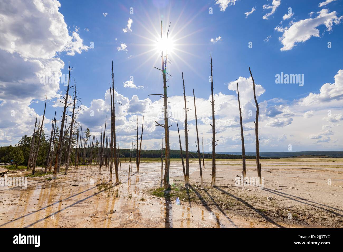 Sonniger Blick auf die Landschaft der Fountain Paint Töpfe in Wyoming Stockfoto