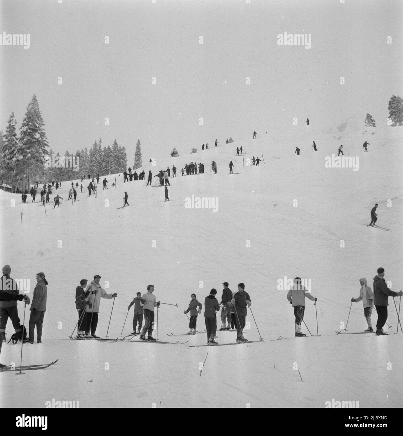 Bilder aus Ånnaboda. 19. Januar 1959. Stockfoto