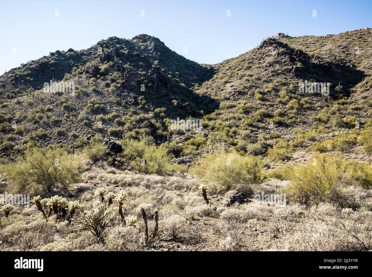 Auf dem Go John Trail im Cave Creek Regional Park, Arizona. Stockfoto