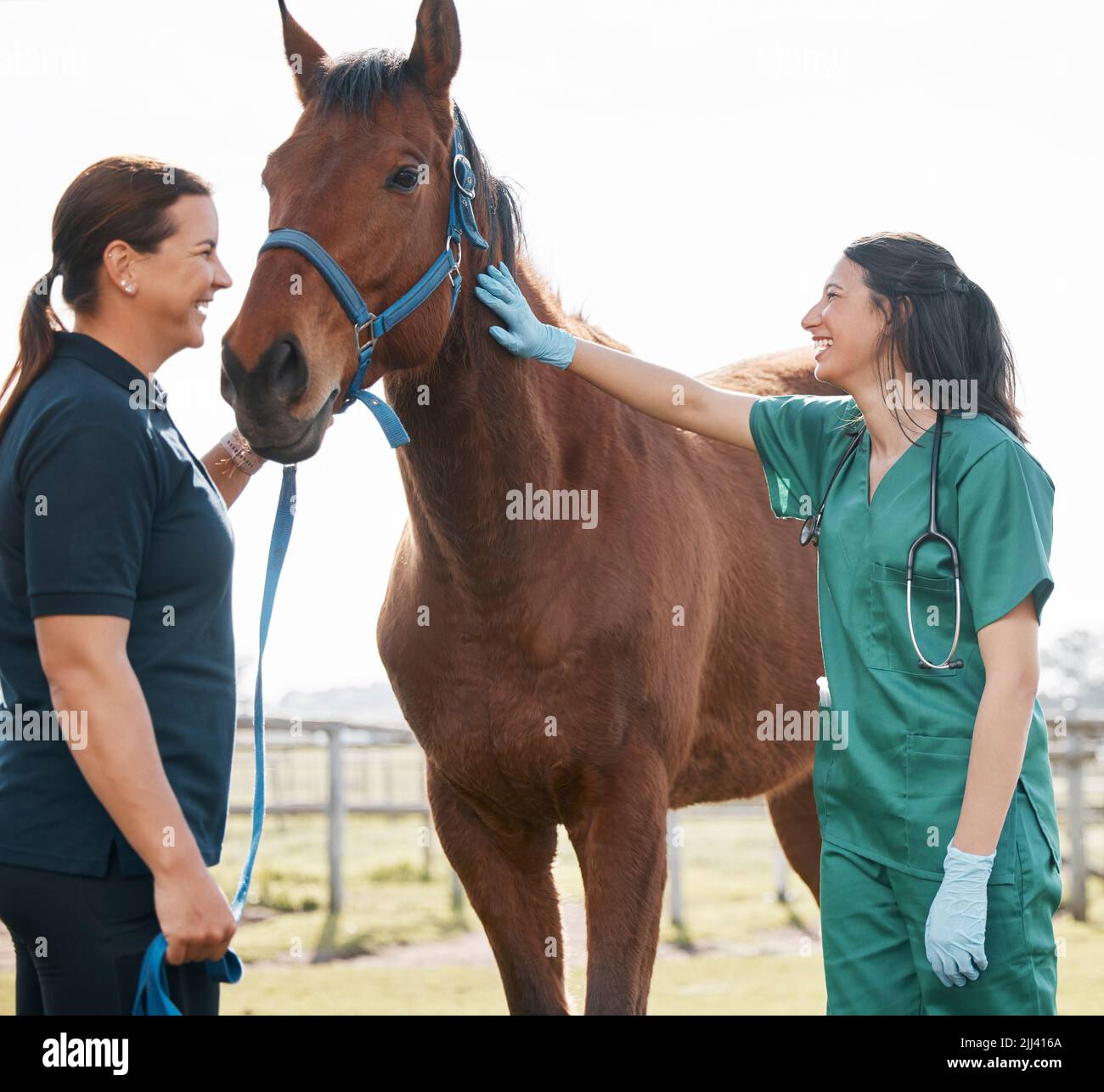 Arent You Beautiful. Ein attraktiver junger Tierarzt, der mit einem Pferd und seinem Besitzer auf einem Bauernhof steht. Stockfoto
