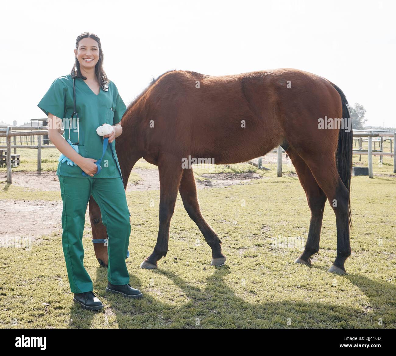 Meine Arbeit hier ist erledigt. Ganzkörperaufnahme eines attraktiven jungen Tierarztes, der allein steht, nachdem er ein Pferd auf einem Bauernhof untersucht hat. Stockfoto