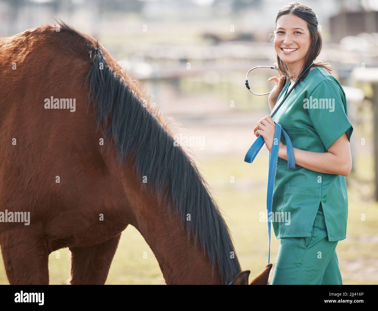 Betrachten Sie mich als den Pferdeflüsterer. Ein attraktiver junger Tierarzt, der allein steht und auf einem Bauernhof ein Pferd besucht. Stockfoto