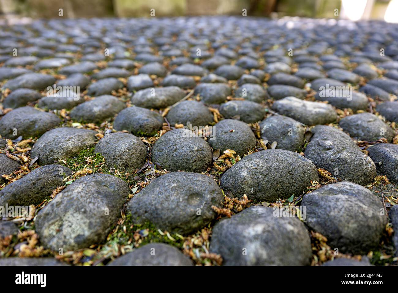 Nahaufnahme des Kopfsteinpflasterwegs in London Stockfoto