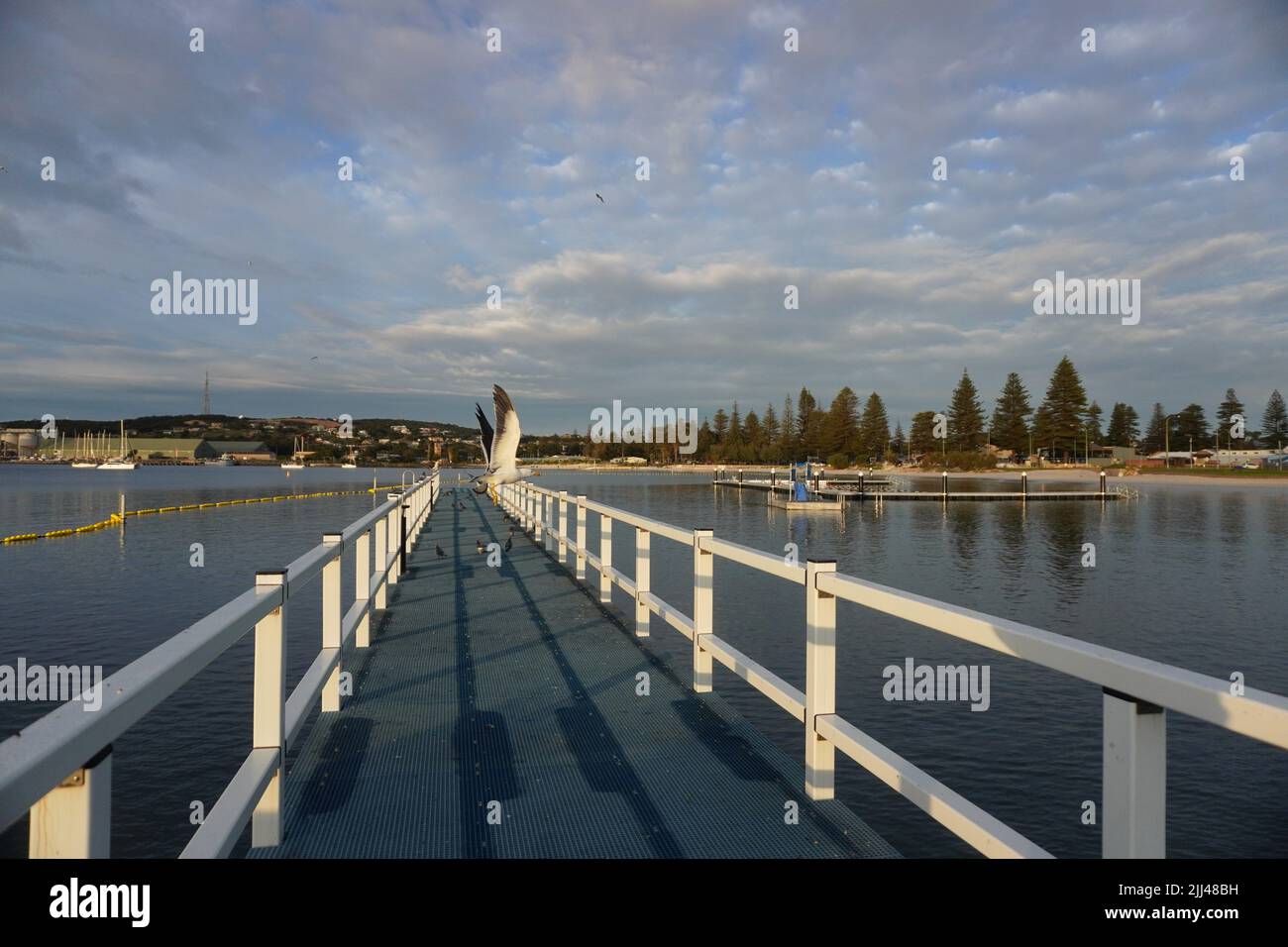 Esperance Foreshore mit haikfestem Open-Air-Swimmingpool Stockfoto