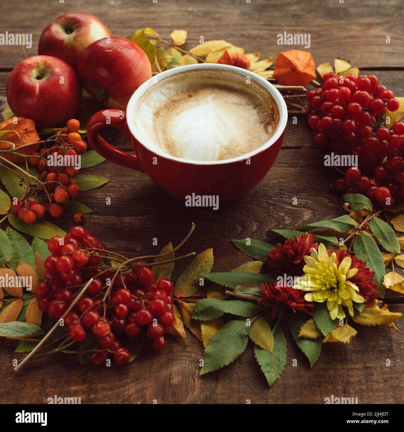 Herbstblätter und Beeren mischen Heißgetränke Konzept Stockfoto