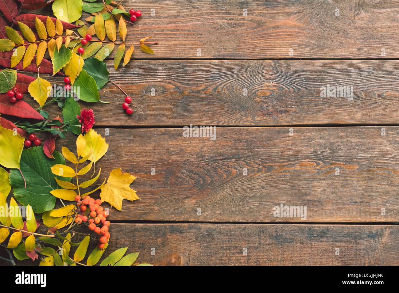 Herbstblätter auf der rauen Holzoberfläche Stockfoto