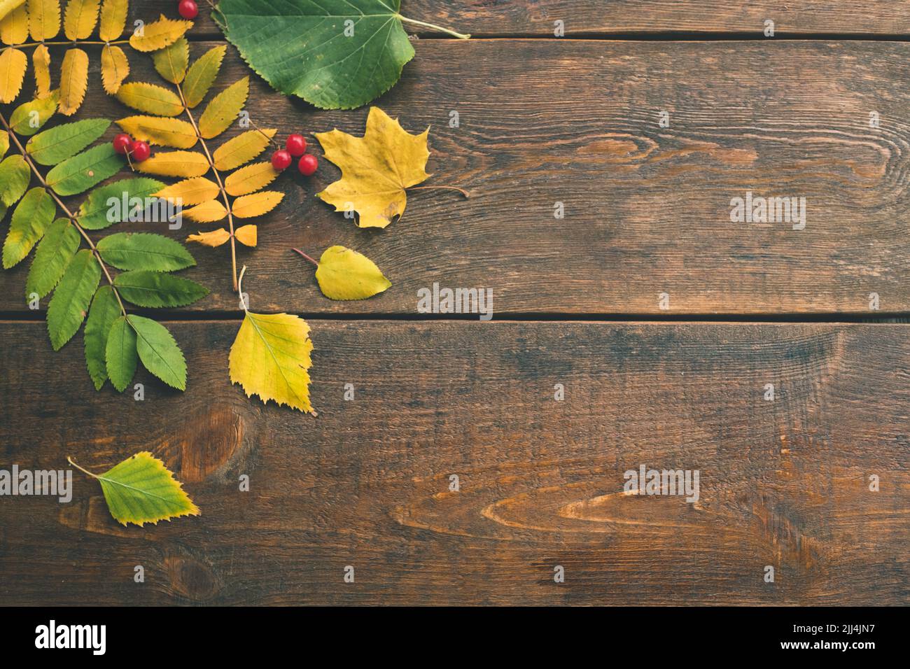 Herbstblätter auf der rauen Holzoberfläche Stockfoto