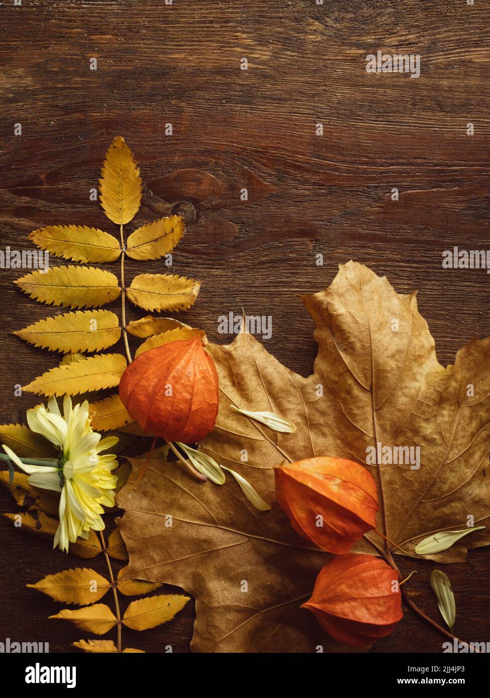 Herbstblätter auf der rauen Holzoberfläche Stockfoto