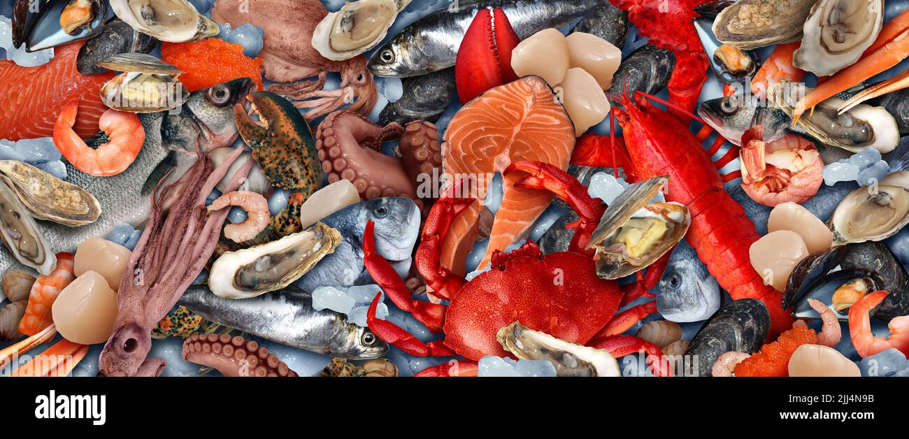 Meeresfrüchte Hintergrund oder Fisch und Schalentiere gesunde Lebensmittel als eine Gruppe von frischen Austern Jakobsmuscheln und Hummer mit Garnelen und Krabben als Ernährungssymbol. Stockfoto