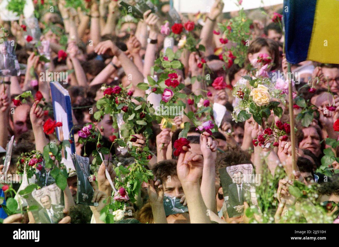 Bukarest, Rumänien, Mai 1990. Die Menge, die an einer politischen Kundgebung teilnahm, die von der Nationalen Heilsfront (F.S.N.) vor den ersten demokratischen Wahlen nach dem Fall des Kommunismus organisiert wurde. Menschen, die frische Rosen in den Händen hielten, das Symbol der neuen Partei. Stockfoto