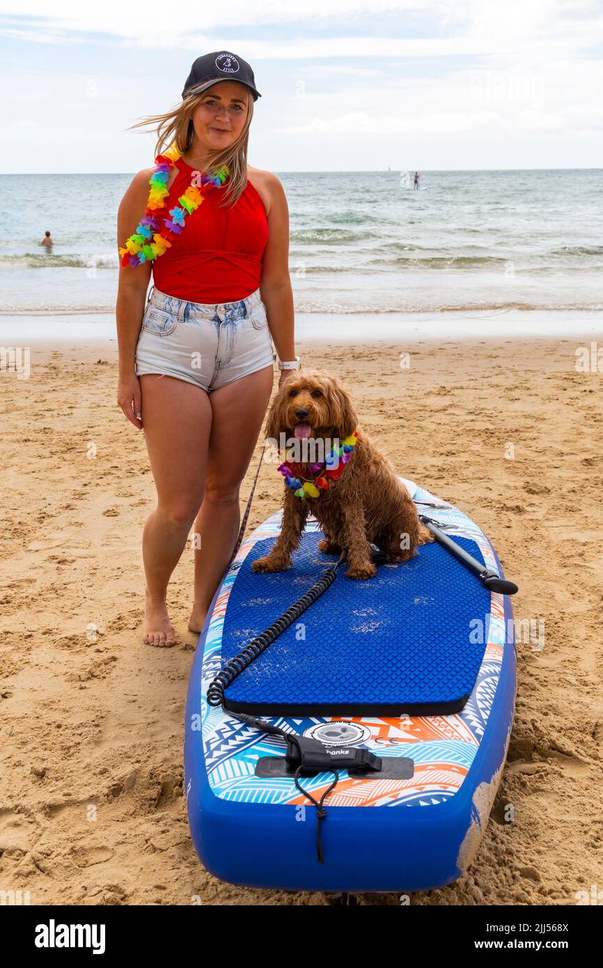 Branksome Dene Chine, Poole, Dorset, Großbritannien. 23.. Juli 2022. Das von Shaka Surf organisierte Dog Surfing Championships Dog Masters Festival in Großbritannien findet am Strand von Branksome Dene Chine statt. Britains einziger Surf-Wettbewerb für Hunde, jetzt im vierten Jahr, ist größer als je zuvor, mit 30 Hundekonkurrenten, die für ein rasantes doggy Paddleboard-Rennen registriert sind, sowie Hundebesitzern ähnelichem Kostümwettbewerb, Mutts Market, Paw Inn Beach Bar, Hundeschau, Essen und mehr, Mit Live-Musik bis in den Abend. Biscuit der 3-jährige Cockerpoo sieht mit der Besitzerin Jasmine so koooool auf dem Surfbrett aus! Kredit: Carolyn Jenkins/ Stockfoto