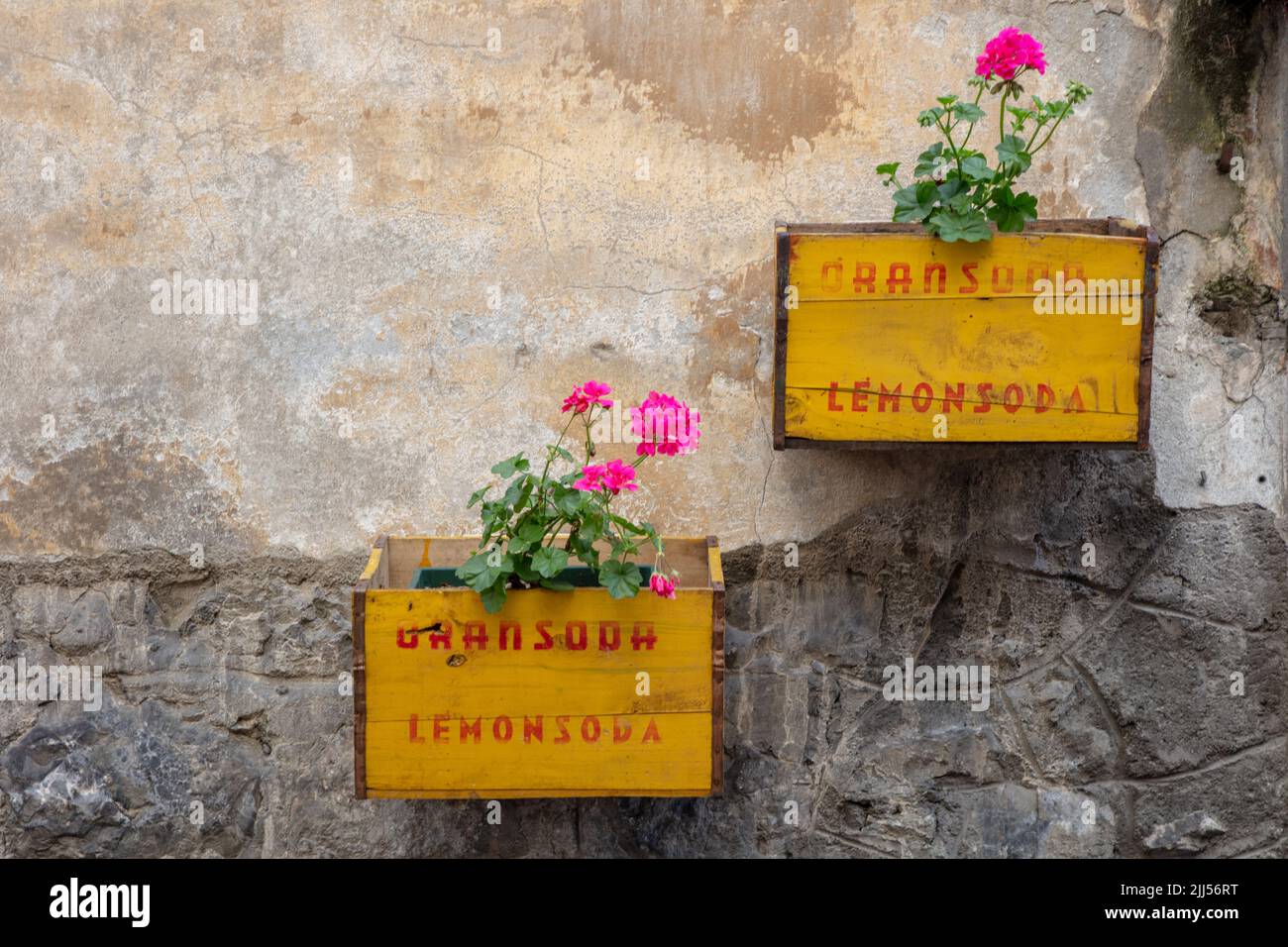Schöne recycelte gelbe Blumentöpfe mit Blumen in Bormio, SO, Valtellina, Italien Stockfoto