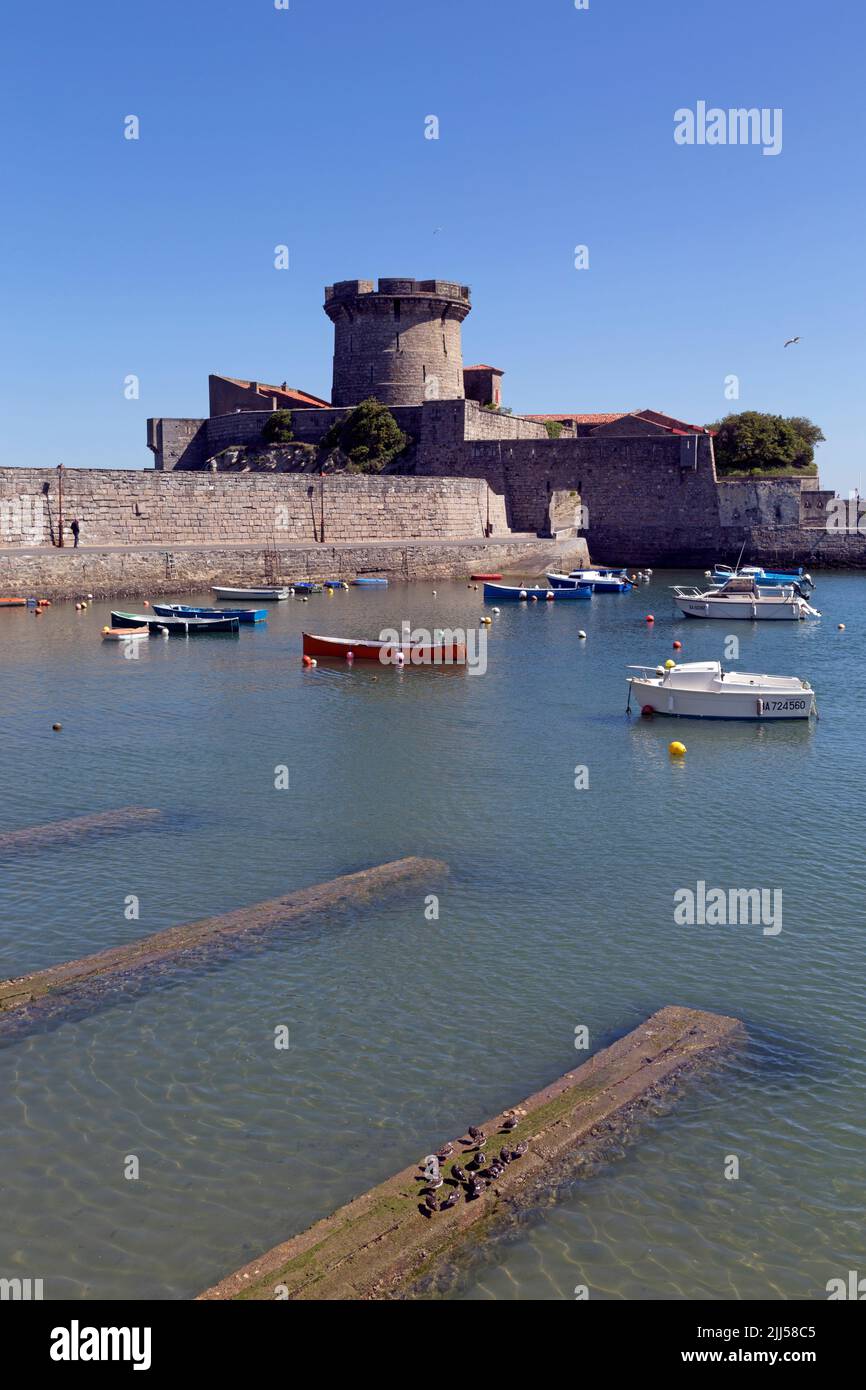 Der Port de Plaisance und das Fort von Socoa. Ciboure, Pyrenees-Atlantiques, Frankreich Stockfoto