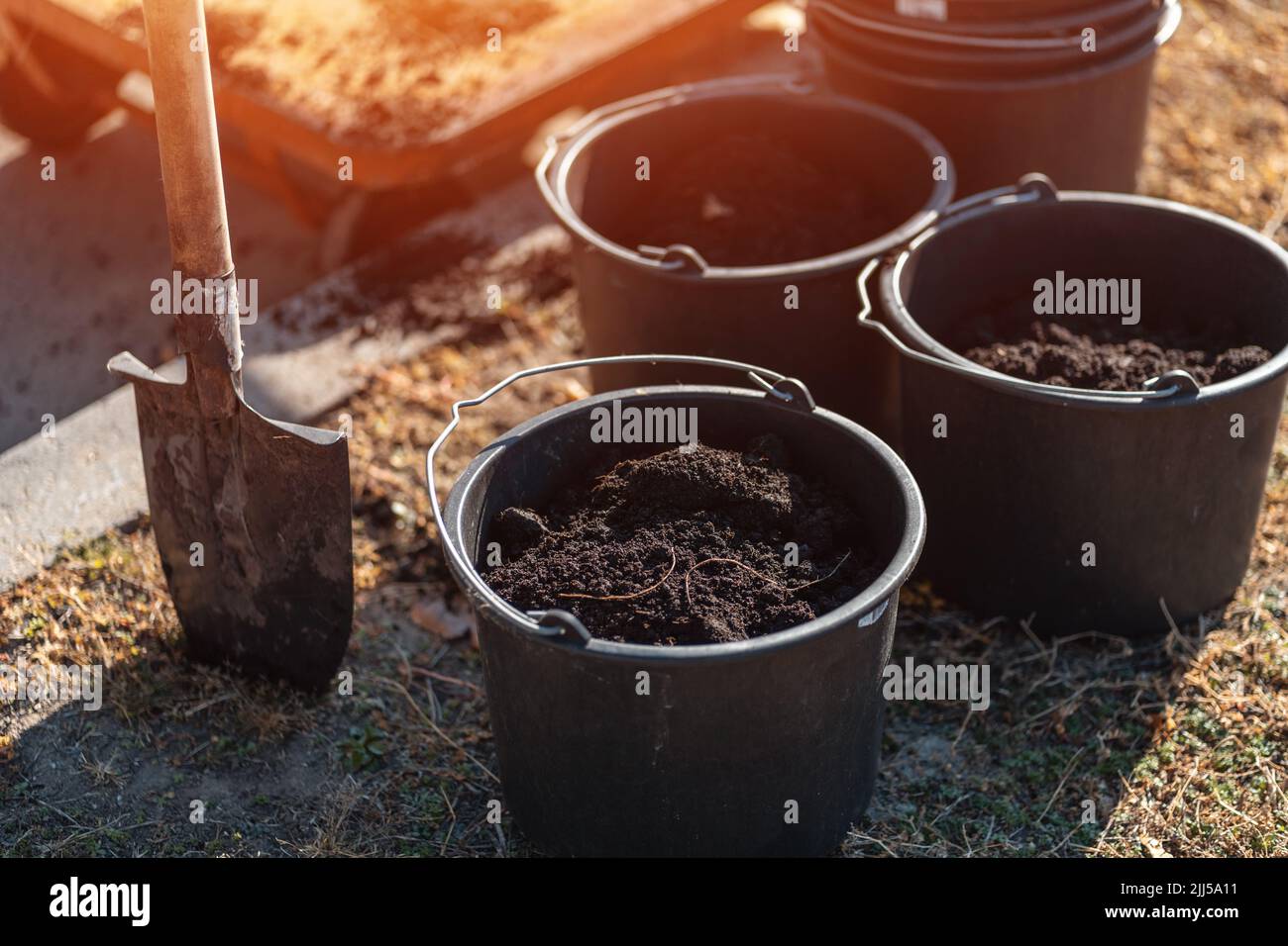 Nahaufnahme von Garteneimer mit schwarzem Boden und Schaufel im Boden für die Pflanzung von Baum Stockfoto