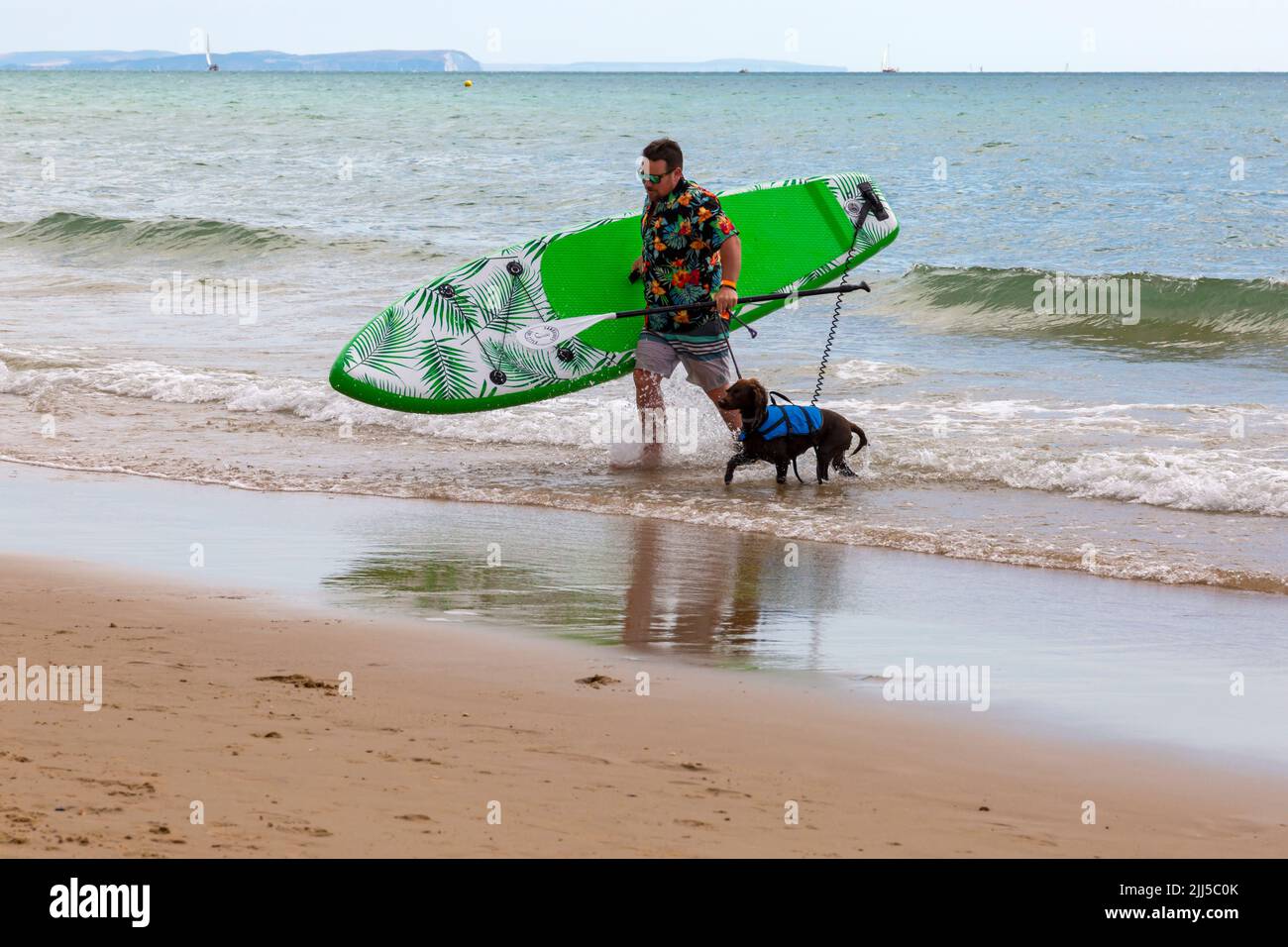 Branksome Dene Chine, Poole, Dorset, Großbritannien. 23.. Juli 2022. Das von Shaka Surf organisierte Dog Surfing Championships Dog Masters Festival in Großbritannien findet am Strand von Branksome Dene Chine statt. Britains einziger Surf-Wettbewerb für Hunde, jetzt im vierten Jahr, ist größer als je zuvor, mit 30 Hundekonkurrenten, die für ein rasantes doggy Paddleboard-Rennen registriert sind, sowie Hundebesitzern ähnelichem Kostümwettbewerb, Mutts Market, Paw Inn Beach Bar, Hundeschau, Essen und mehr, Mit Live-Musik bis in den Abend. Quelle: Carolyn Jenkins/Alamy Live News Stockfoto