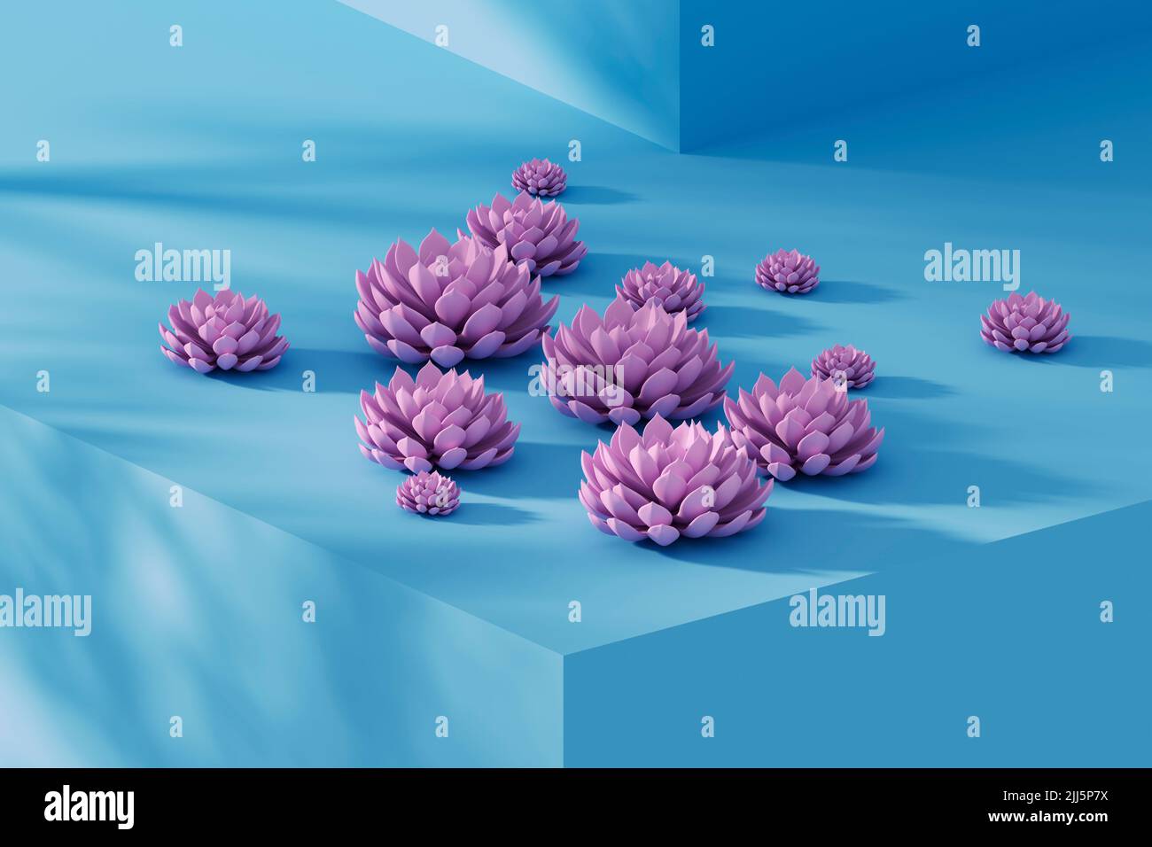 Studioaufnahme von rosa saftigen Pflanzen, die auf einem blauen Rand liegen Stockfoto