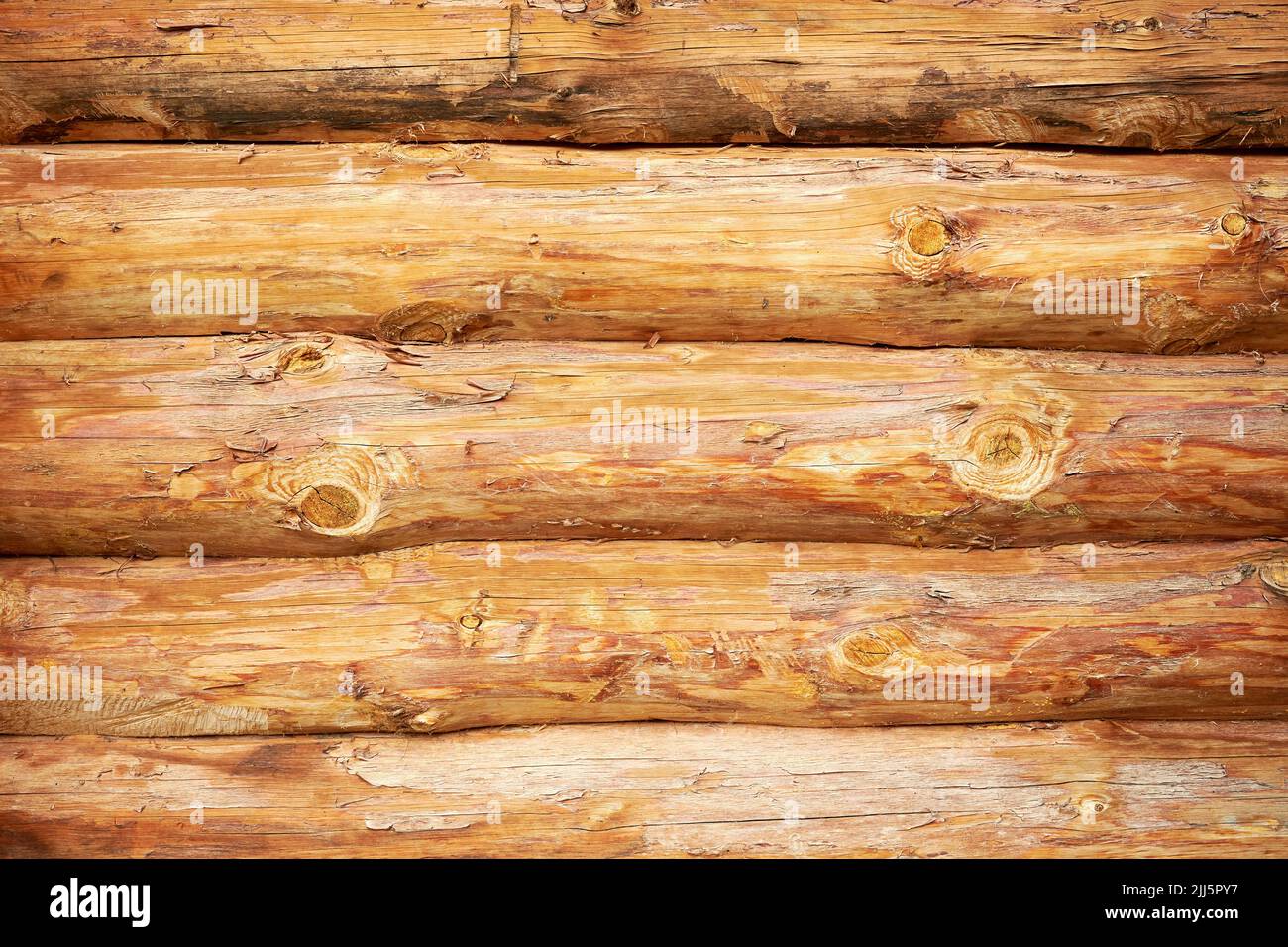 Wandstruktur aus frisch geschnittenen Baumstämmen. Abstrakte Natur Hintergründe Stockfoto