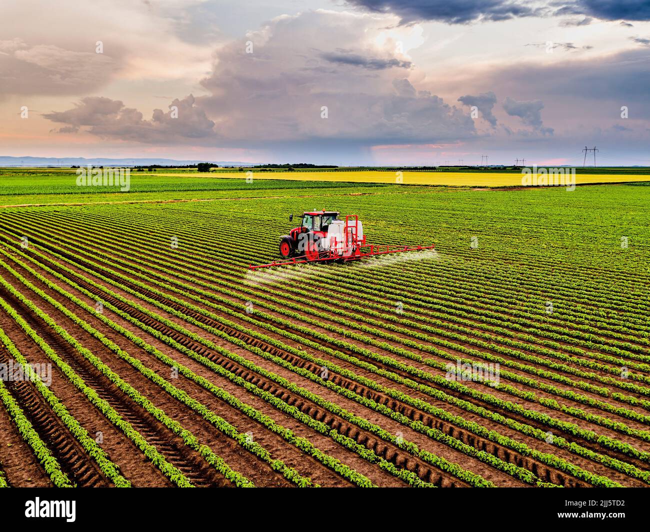 Traktor sprüht Pestizid auf Sojabohnenfeld Stockfoto