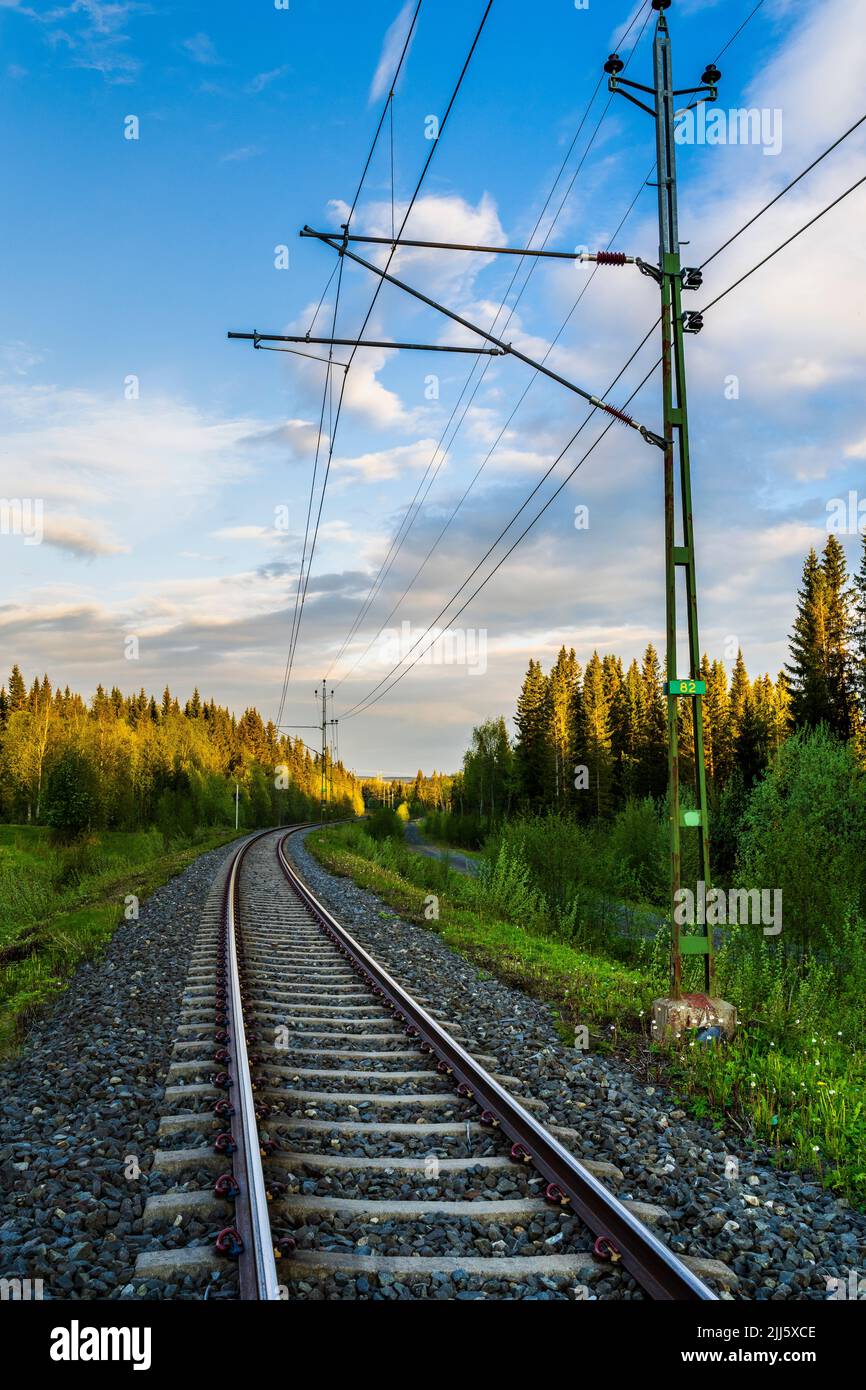 Schweden, Jamtland County, sind, leere Bahngleise in der Morgendämmerung mit bewaldeten Landschaft im Hintergrund Stockfoto