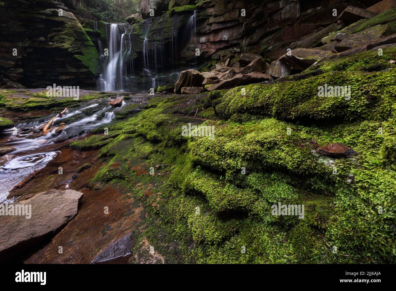 Moosige Felsen säumen die Seiten der kleinen Schlucht mit den Elakala Falls im Blackwater Falls State Park in West Virginia. Stockfoto