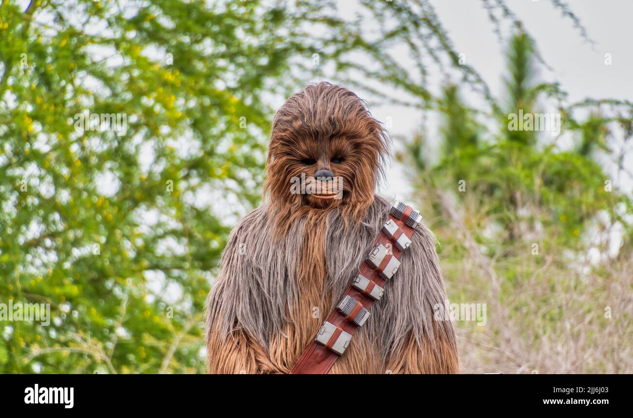 Chewbacca-Charakter in den Disney Hollywood Studios Stockfoto