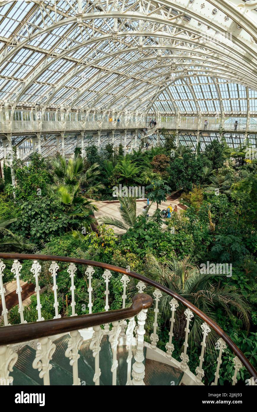 Eine Weitwinkelaufnahme der Innenansicht einer Orangerie mit exotischen Pflanzen in den botanischen Kew Gardens in Großbritannien Stockfoto