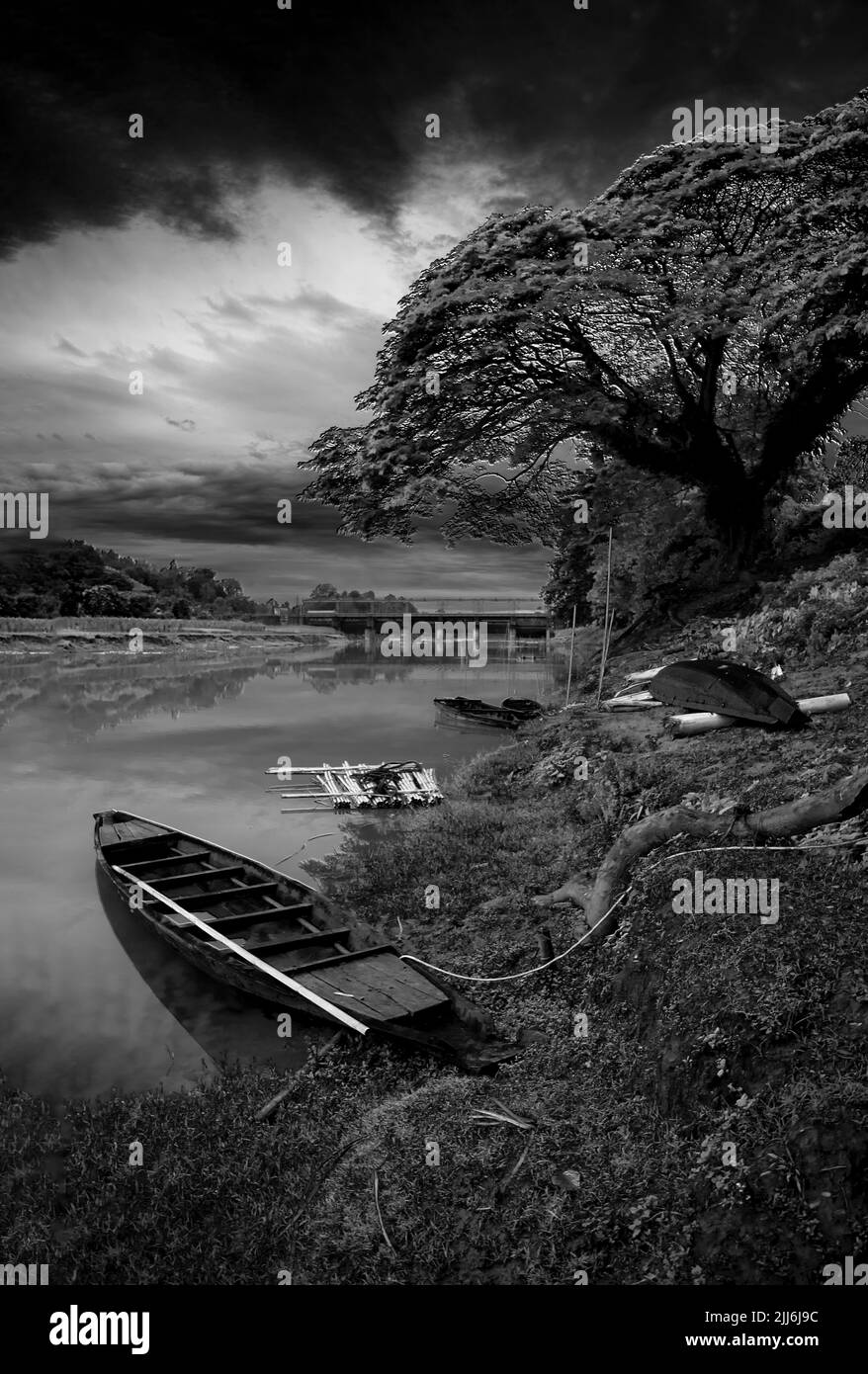 Eine vertikale Graustufenaufnahme eines geduckten Bootes mit einer Wasserlandschaft und einem Baum Stockfoto