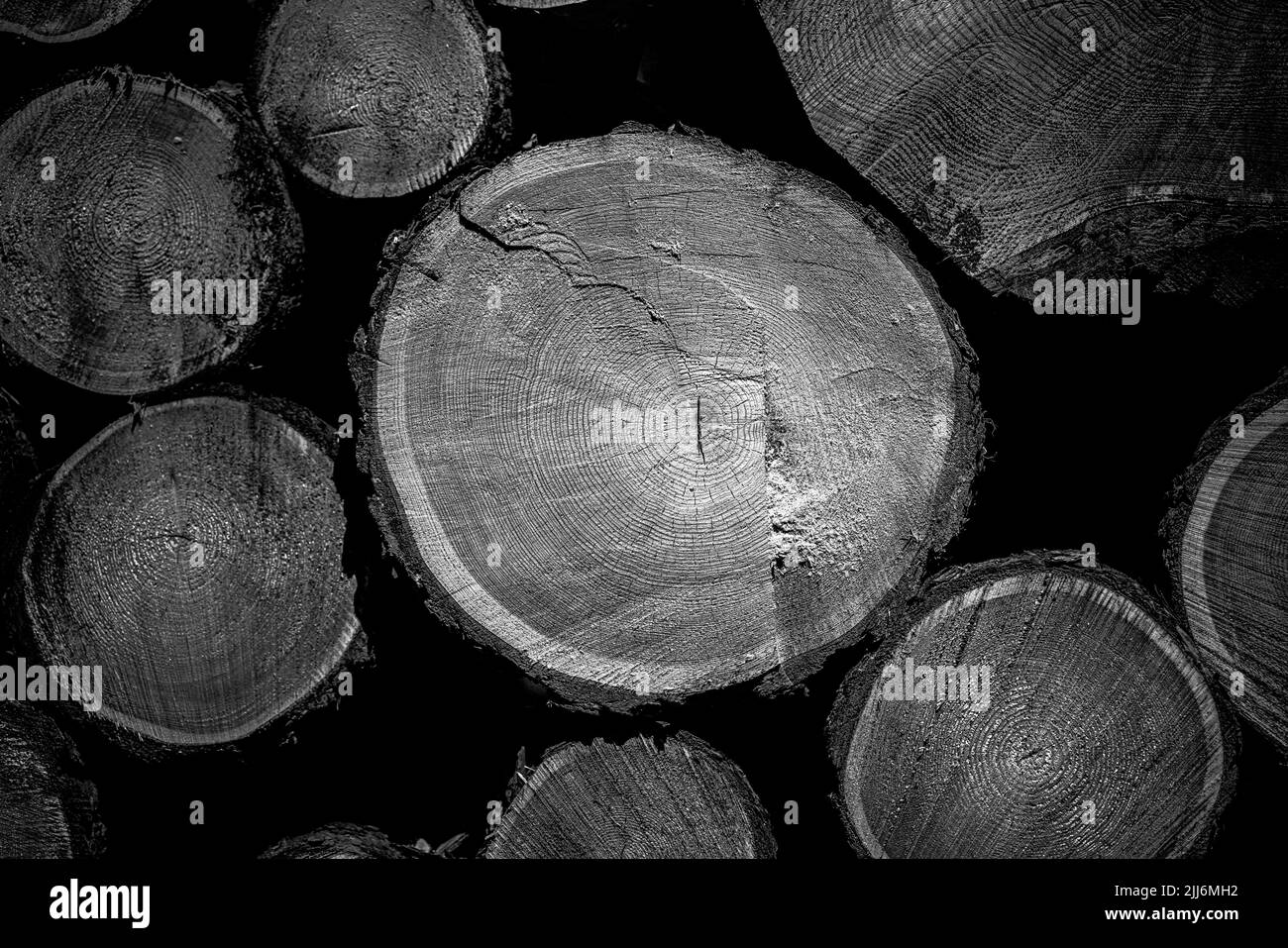 Eine Graustufenaufnahme eines Anhäufs von Holzstämmen und Brennholz Stockfoto