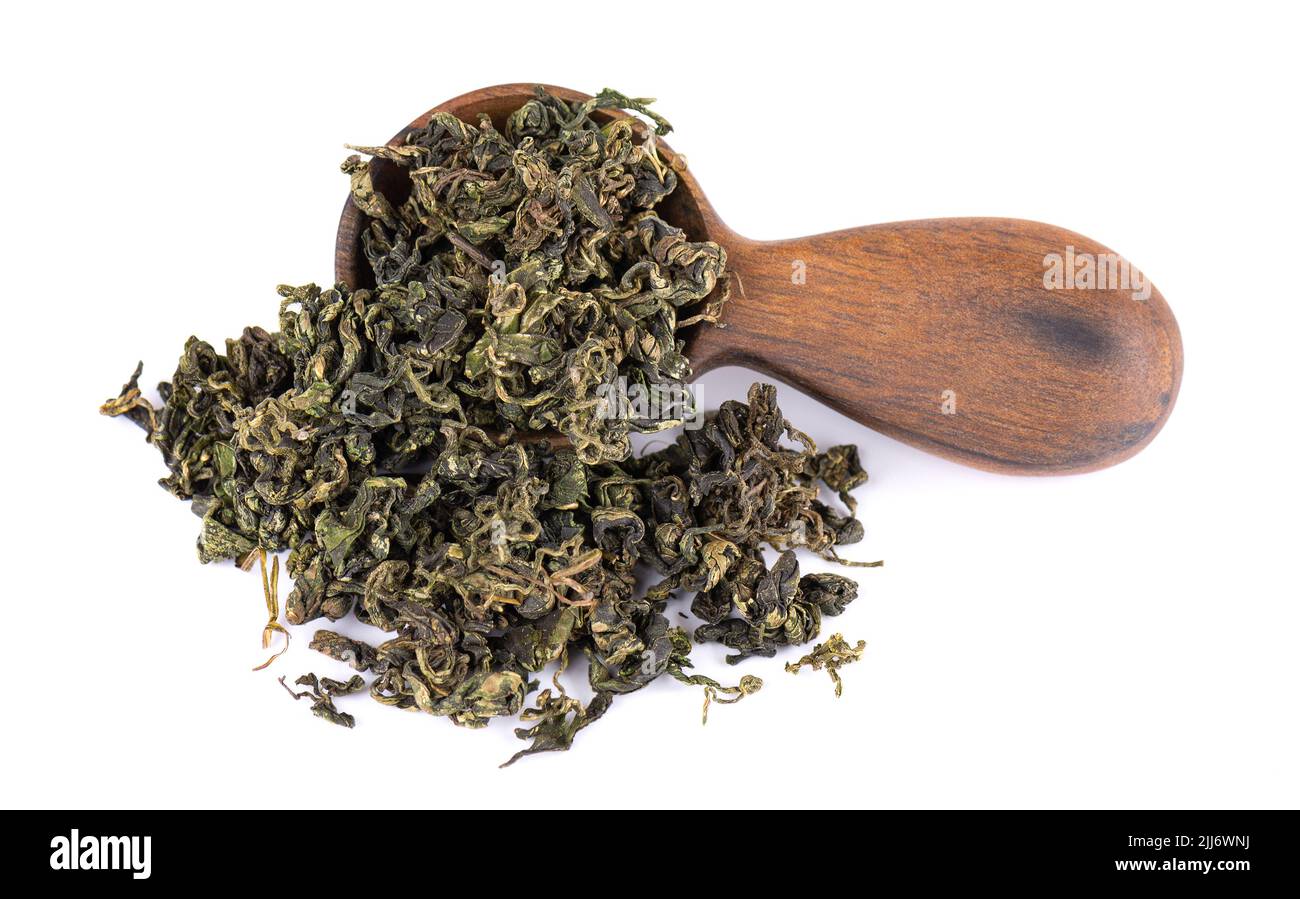 Trockenes gynostemma pentaphyllum Blatt in Holzlöffel, isoliert auf weißem schwarzen Grund. Jiaogulan oder Wundergras. Chinesischer Kräutertee Stockfoto