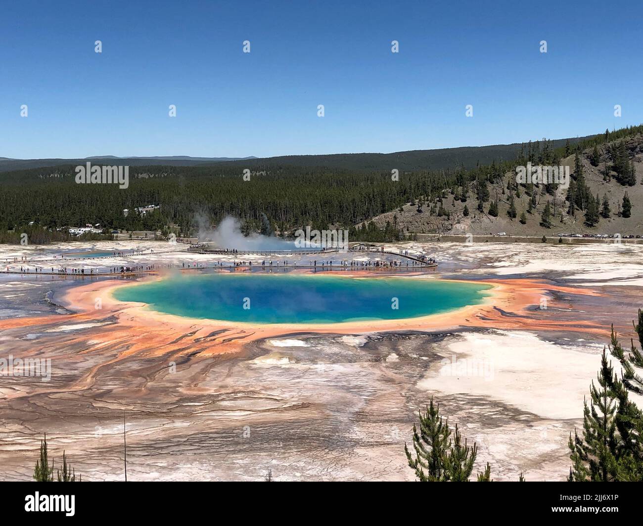 Die Grand Prismatic Spring, eines der größten Thermalbäder in Yellowstone, USA Stockfoto