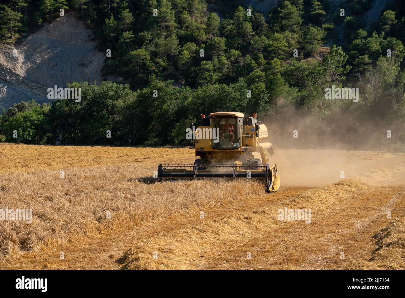 New Holland TC5060 Kombinieren Sie Harvester in Aktion, Sonnenschein und Staub Stockfoto